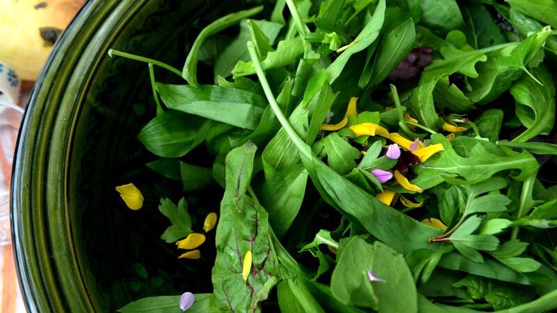 Foraged wild garlic salad made by Geraldine Kavanagh of Wicklow Wild Foods. Photographs: David Sleator