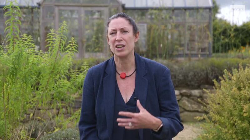 Sadhbh O'Neill, Friends of the Earth Ireland, on Cop28: 'If governments fail to stand up to the fossil fuel companies and petroleum-exporting nations, we may get a weak decision text that undermines public confidence in the entire UN Framework Convention on Climate Change process.'