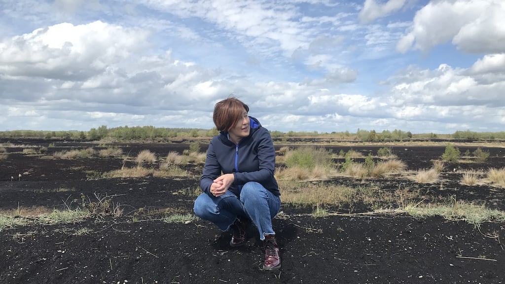 Lynn Buckle on the Bog of Allen