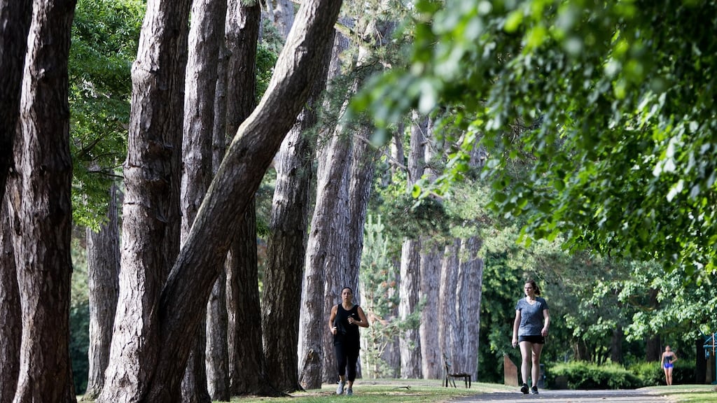 Albert College Park, Dublin 9. Photograph: Tom Honan