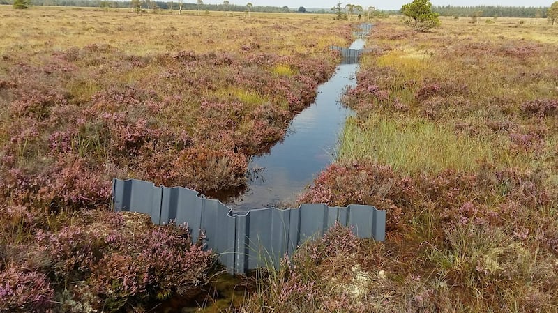 Plastic dams inserted by Coillte in drains on Aghrane bog, Co Galway. Drain dams elsewhere have been made from sheeps' wool. The dams help to rewet peatland and restore its capacity to capture and store carbon. Photograph: John Conaghan
