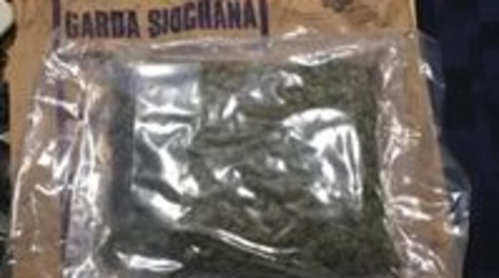 The drugs seized in Co Cork on Wednesday. Photograph: Garda Press Office