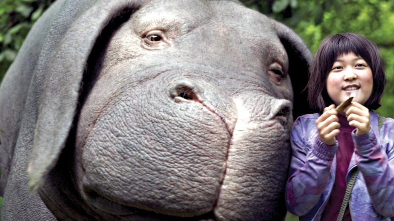 Okja (2017): A diverting saga of a giant, genetically modified pig-thing from Korean director Bong Joon-ho.