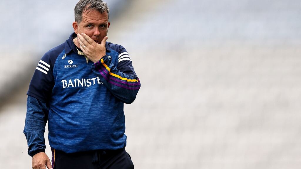 Davy Fitzgerald has said internet trolls have a ‘sickness’. Photograph: Tommy Dickson/Inpho
