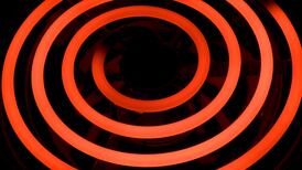 Michael Harding: I saw the cooker ring was red hot. And then the kitten jumped straight on to it