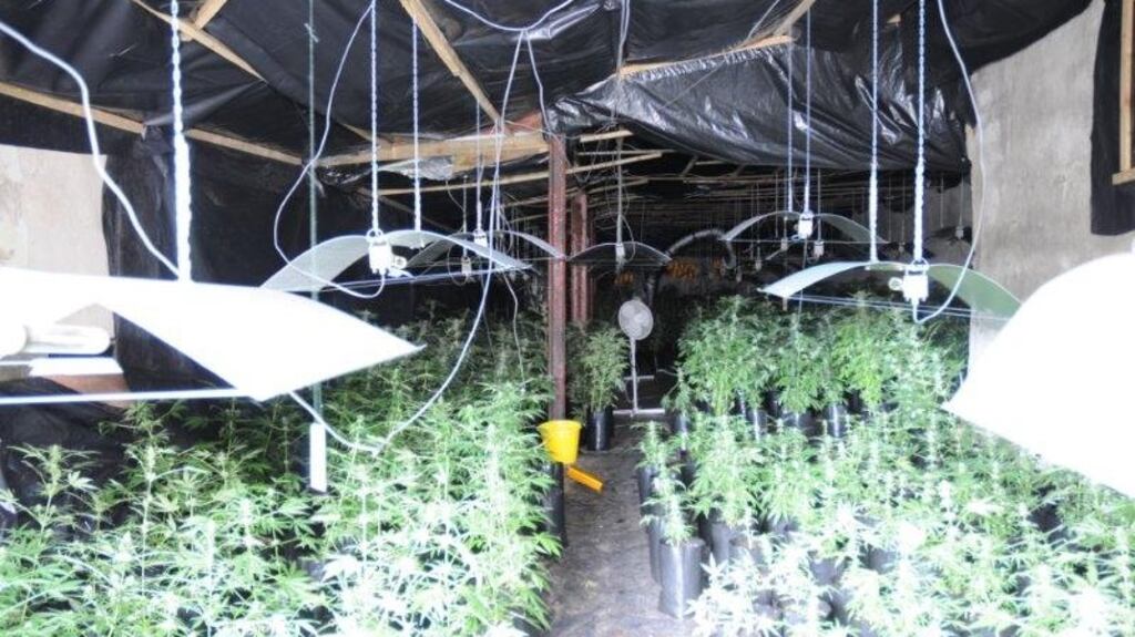 A cannabis grow house at Hollyford, Co Tipperary. Photograph: Garda Press Office