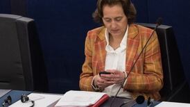 German far-right MP investigated over anti-Muslim tweets