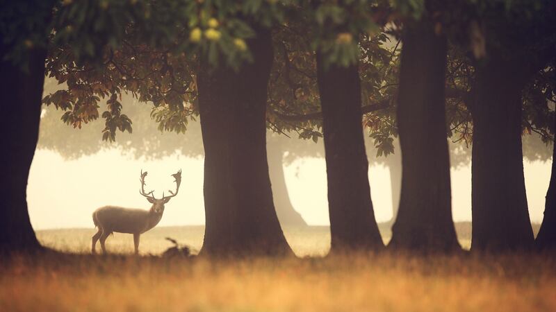 A winter sunrise As you watch the sun peek above the horizon you will be reminded just how great life can be!