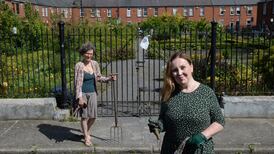 'Salads are rotting from the bottom up': Allotment holders eager to salvage crop