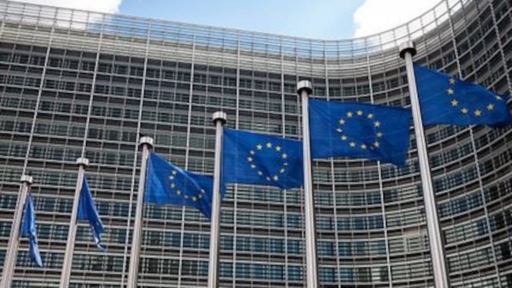 It seems inevitable that the far right will make further gains in coming elections, leaving the European Parliament in the strange position of including more and more people who are opposed to the EU ideologically. Photograph: Getty Images