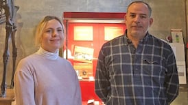 Irish scientists discover how rare earth mineral is formed