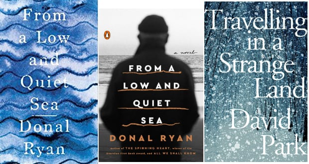 From a Low and Quiet Sea by Donal Ryan; Travelling in a Strange Land by David Park