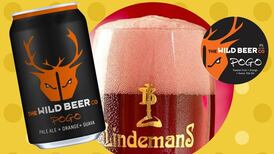 Fruit beers for serious beer drinkers