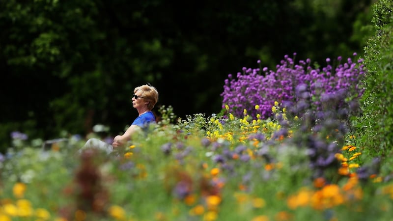 A woman sits among the flowers in the Botanic Gardens in Dublin as the good weather continues. Photograph: Brian Lawless/PA Wire