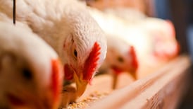Poultry giant Moy Park pays €256m in dividend to US owners as profit jumps