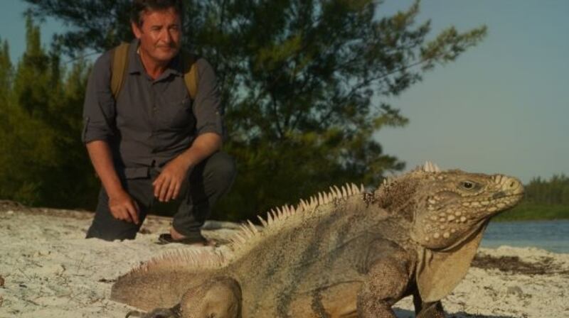 Colin Stafford-Johnson softly observes each little thing he sees in Cuban waters, woodlands and streets as though it might be the very last time