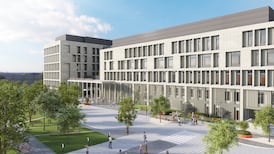 No ‘vested interest’ to veto procedures at new national maternity hospital