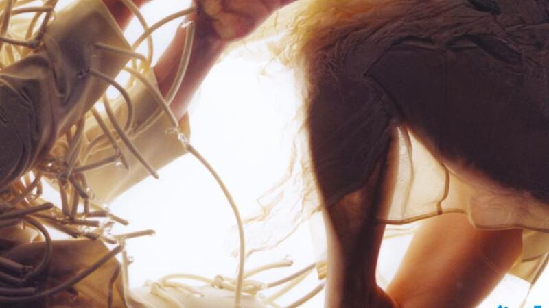 Lump: Animal review – teetering on edge of the delightfully weird