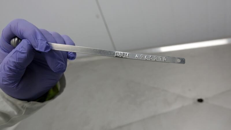 Detail of the new Dublin Port seal. Photograph: Laura Hutton/The Irish Times