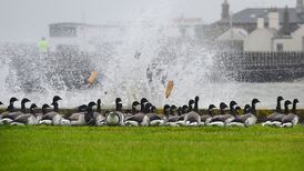 Motorists to be temporarily barred from Clontarf coast road