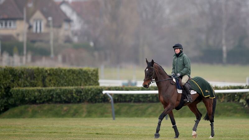 Sizing Europe pictured at Cheltenham in 2015. Photograph: Dan Sheridan/Inpho