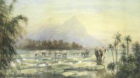 Views of Ceylon from a Belfast artist