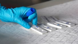 Pharmacies report ‘huge’ increase in Covid-19 antigen test sales