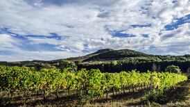 Wine: Something from the ‘new old’ Spain