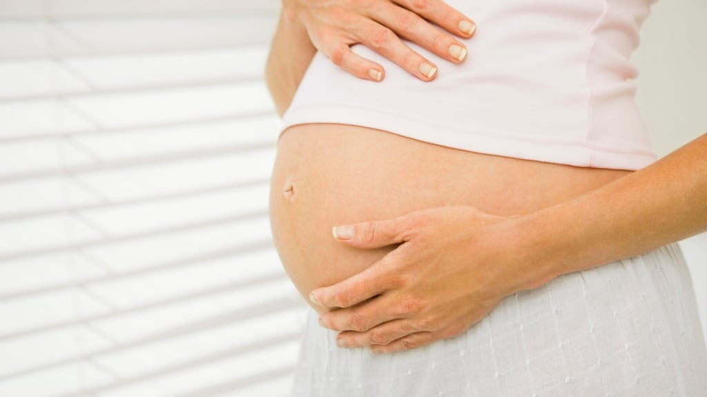 Previous research indicated autism spectrum disorder most likely develops in the womb and that a mother’s diet during pregnancy could have an influence. Photograph: Getty Images