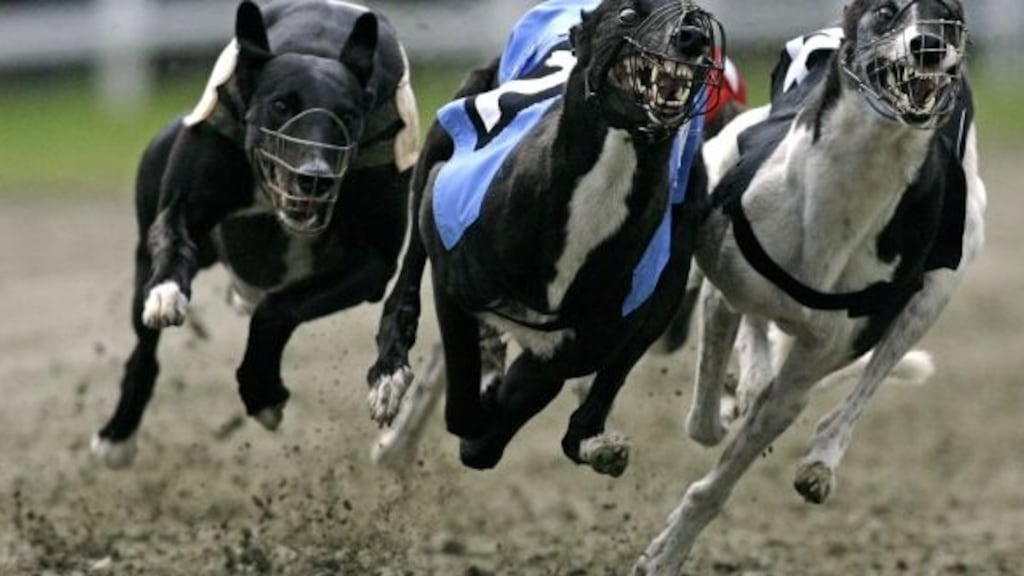 The Irish greyhound industry is to introduce a new model of sponsorship after losing several sponsors in the aftermath of an RTÉ Investigates programme
