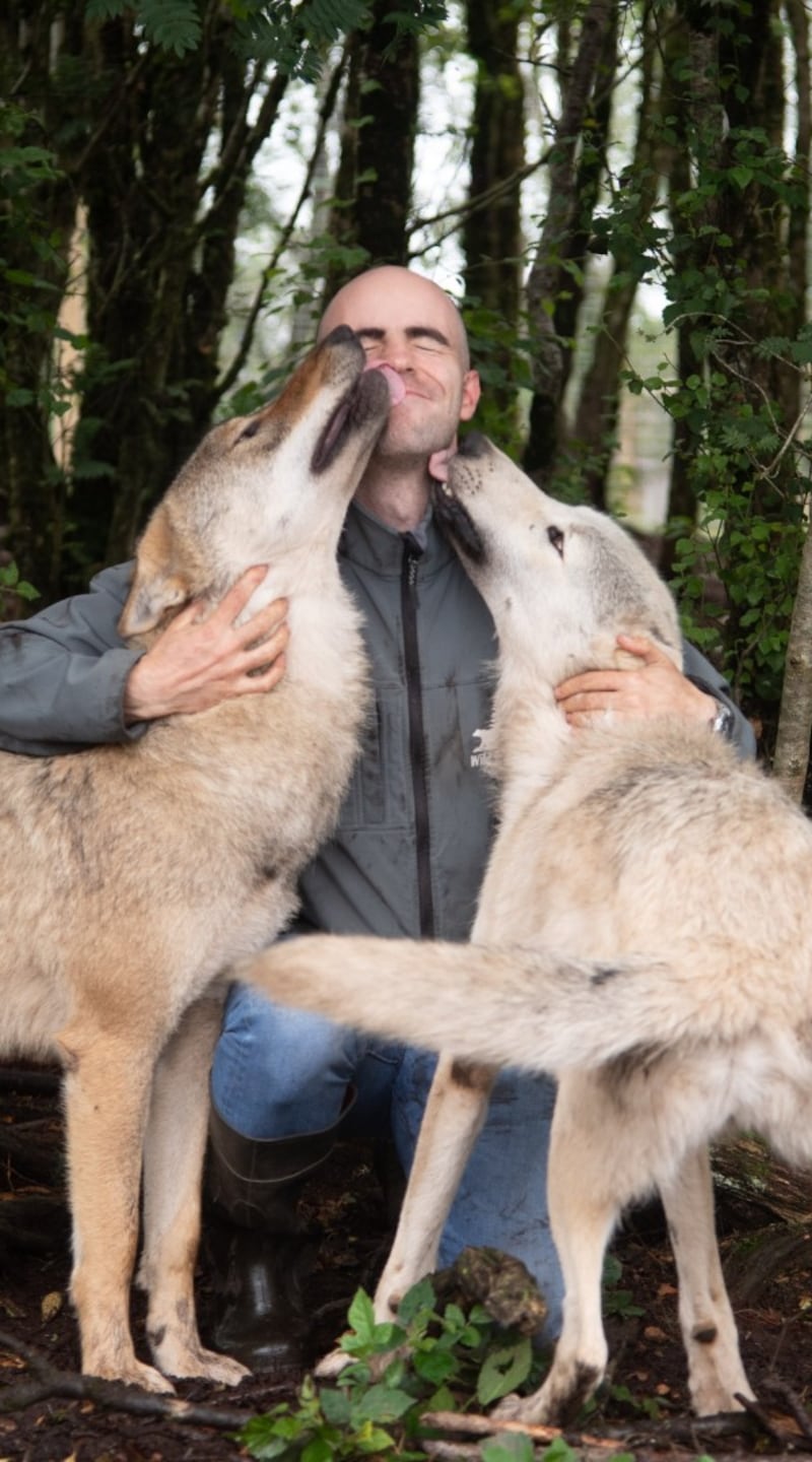 Killian McLaughlin with his wolves, Oisin and Finn (right), in the Wild Ireland Sanctuary in Burnfoot, Co Donegal. Photograph: Joe Dunne