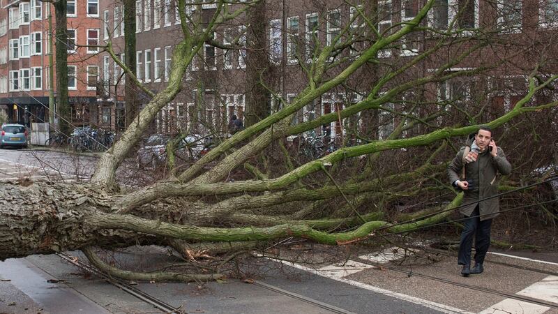 A man who escaped unharmed makes a phone call after his scooter was hit by a crashing tree uprooted by heavy winds in Amsterdam, Netherlands. Photograph: Peter Dejong/AP