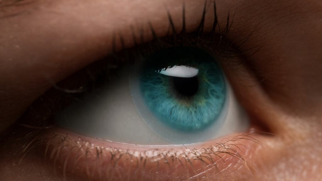 The patient had worn monthly disposable lenses for 35 years. Photograph: iStock