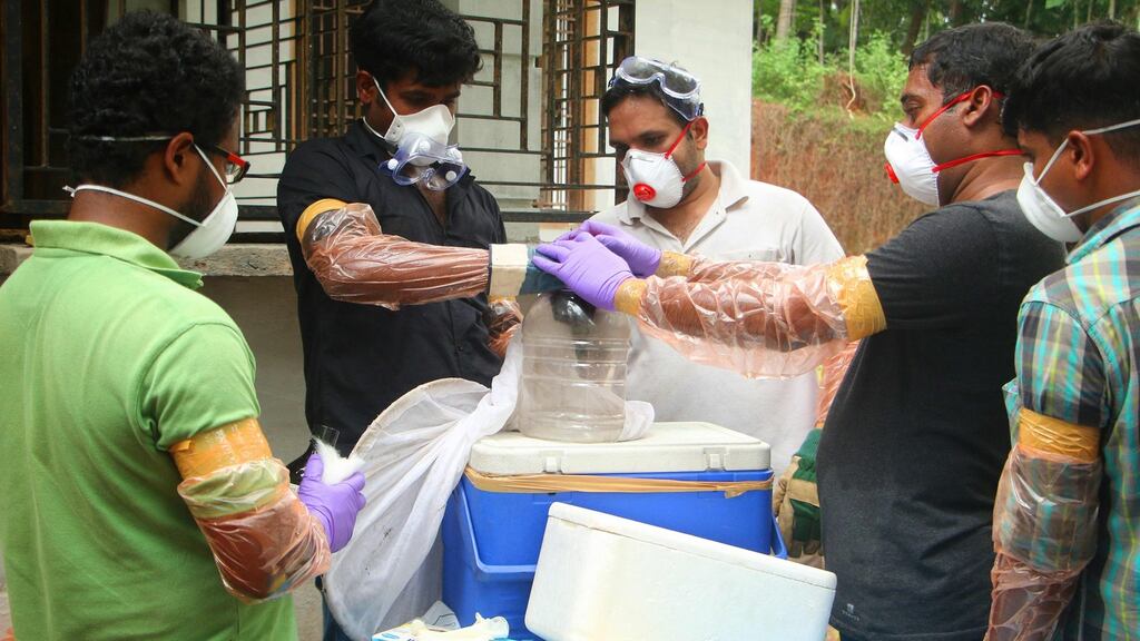 Health officials deposit a bat in a container after catching it inside a well at Changaroth in Kozhikode, Kerala on Monday. The Nipah virus outbreak has triggered a state-wide health alert. Photograph:  AFP/Getty Images