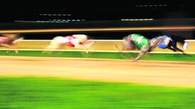 Indecon calls for clampdown on greyhound drugs and cruelty