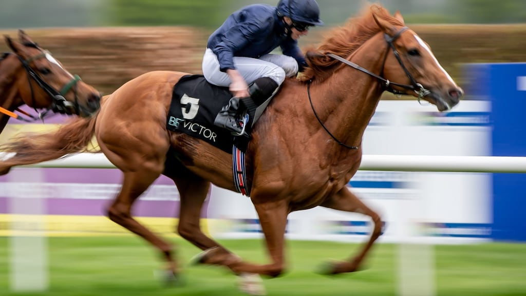 Blenheim Palace will join Cape Of Good Hope in a bid for the $1 million Belmont Derby in New York. Photograph: Morgan Treacy/Inpho