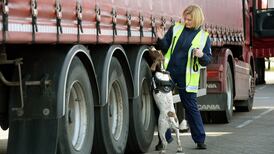 Trade border between Ireland and UK ‘now inevitable’