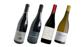 Irish winemakers in France: Challenges in the time of Covid