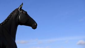 Neighs have it: horses facing into final Brexit furlong at Cheltenham