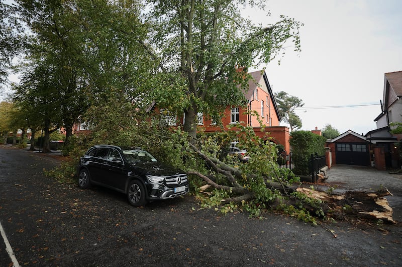 A car damaged by a falling tree on Herbert Road, Dublin 4 during Storm Amy. Photograph: Dan Dennison