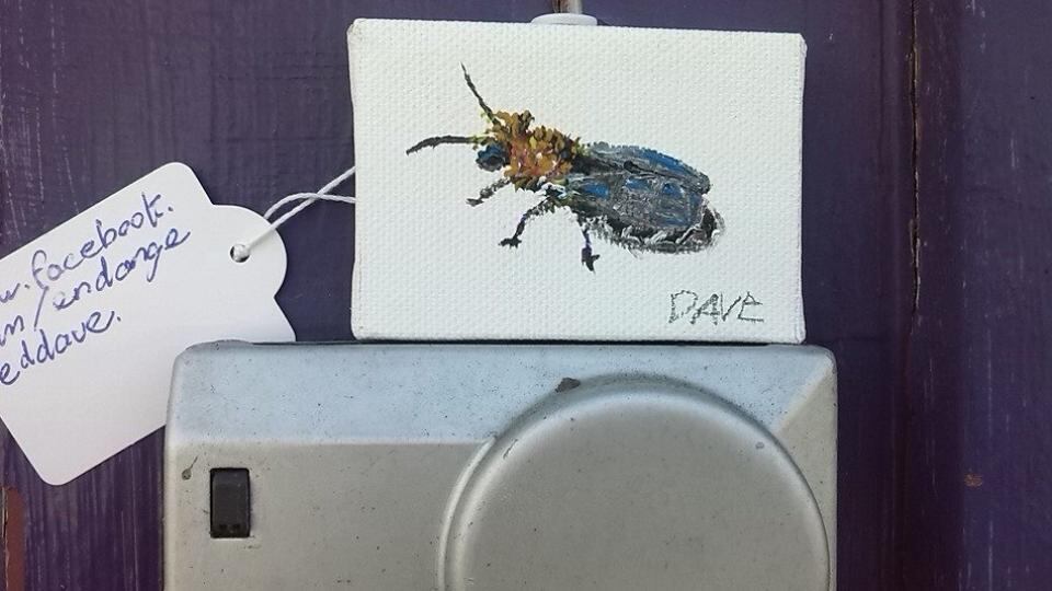 Public gallery: an EndangeredDave animal. Photograph: David Byrne/Facebook