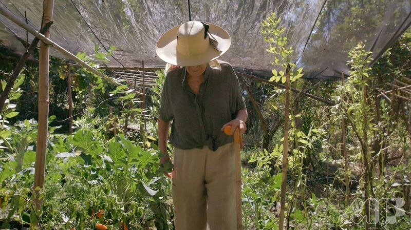 Diana Kennedy in Nothing Fancy