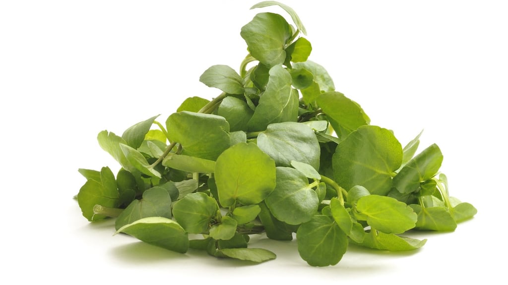 Watercress  pairs well with fatty fish such as eel and salmon. Photograph: iStock