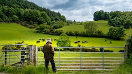 The D4 farmers: Why the rich are buying up land to avoid inheritance tax