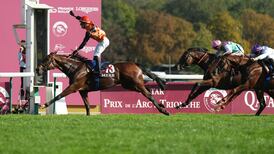 Revival in French racing fortunes could be underlined in Prix de l’Arc de Triomphe