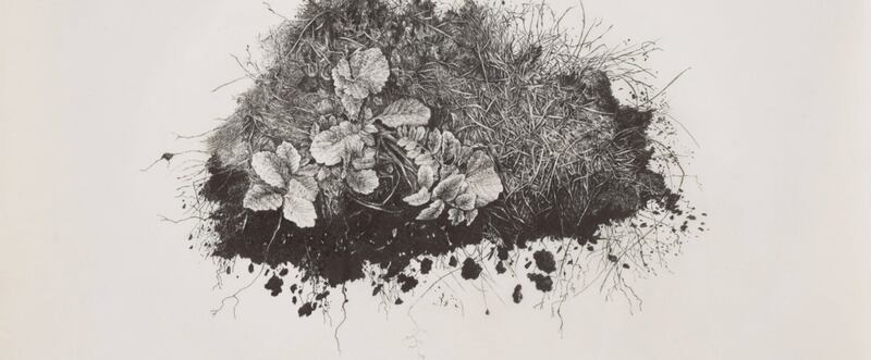 Miriam De Búrca, Anatomy of Chaos III Forensics as Memorial, UCC Art Collection at the Glucksman