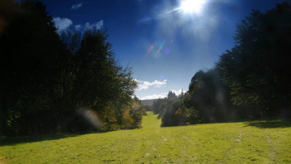 Coillte had claimed transfer of the remaining €23 million under obligations in a trust deed of 2000 and a December 2009 funding proposal for the scheme was contingent on the sale of immature forests which required State approval, but the trustees insisted no such contingency was set out in the funding proposal.