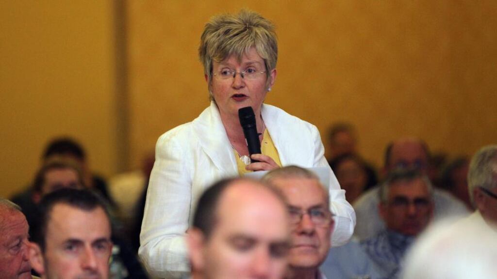Camogie Association director general Joan O’Flynn: “Statutory funding was critical in expanding the Camogie Association staff team.” Photograph: Inpho