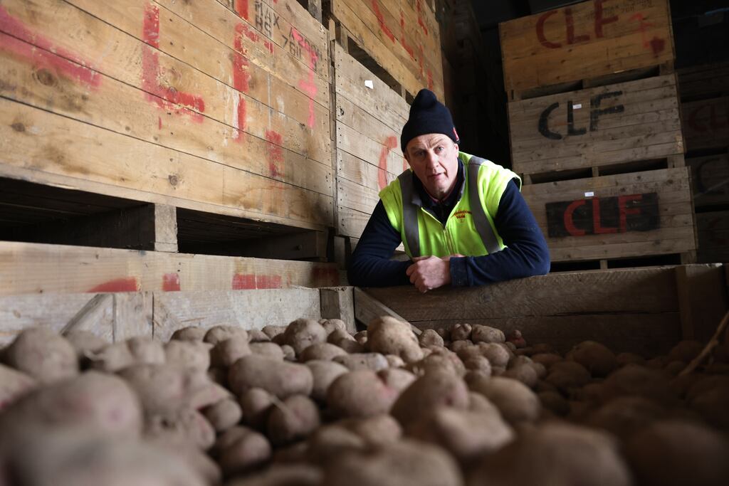 John Carroll, potato farmer in Paughanstown, Co Louth. Photograph: Dara Mac Dónaill