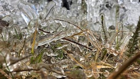 ‘Hazardous’ conditions expected due to snow and temperatures of -5